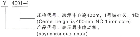 西安泰富西玛Y系列(H355-1000)高压YE2-355M1-6三相异步电机型号说明