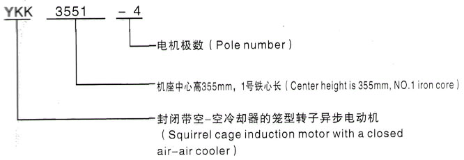 YKK系列(H355-1000)高压YE2-355M1-6三相异步电机西安泰富西玛电机型号说明