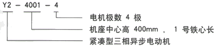 YR系列(H355-1000)高压YE2-355M1-6三相异步电机西安西玛电机型号说明